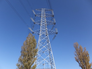DSCF0586.JPG