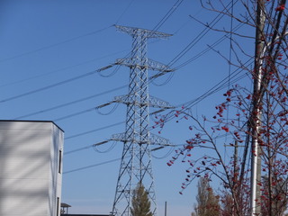 DSCF0620.JPG