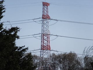 DSCF0650.JPG
