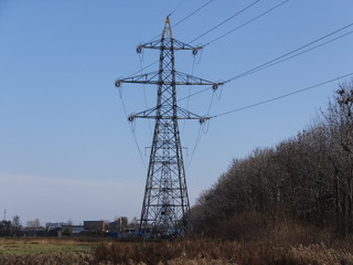 DSCF0701.JPG