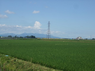 DSCF9533.JPG