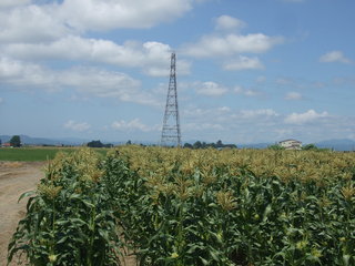 DSCF9537.JPG
