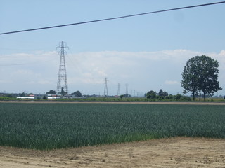 DSCF9561.JPG