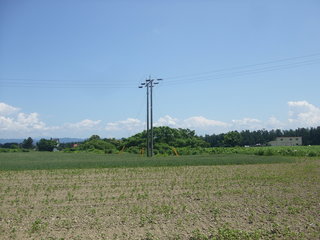 DSCF9566.JPG